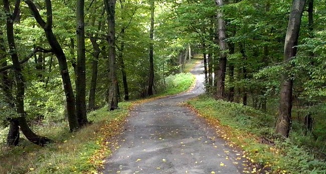 Herbst auf dem Rotstein. Herbst auf dem Rotstein.