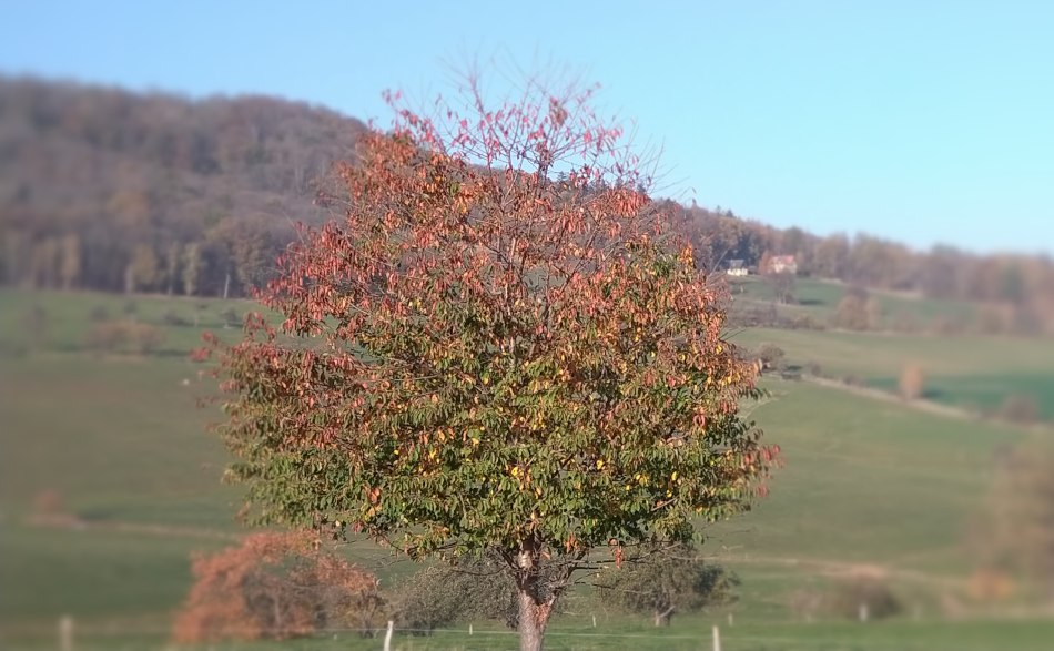 In Sohland kann man die Gegend und Natur auf (fast) uneingeschränkten Pfaden erkunden. In Sohland kann man die Gegend und Natur auf (fast) uneingeschränkten Pfaden erkunden.