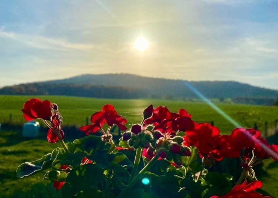 Im Hintergrund der Rotstein. Foto A. Poost. Im Hintergrund der Rotstein. Foto A. Poost.